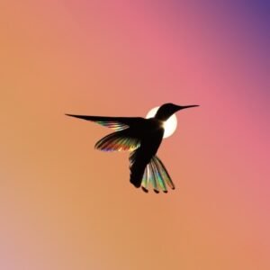 Feng Shui Energy Stickers: Sunlight Shines Through Hummingbird Colorful Wings Flat Stickers