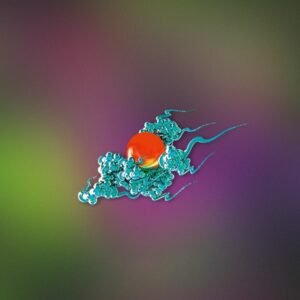 Feng Shui Energy Stickers Sun Auspicious Clouds Retro Flat Stickers