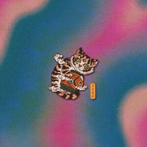 Feng Shui Energy Stickers for Money, Big Cat, Little Tiger, Car Waterproof Flat Stickers